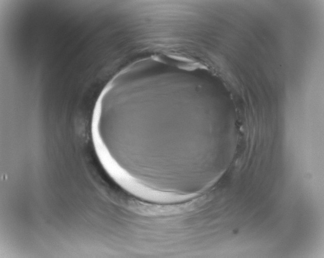 X0000069810031200606091846