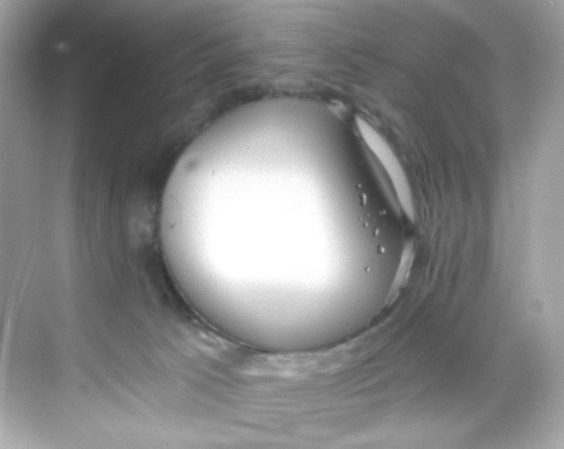 X0000069810033200606091846