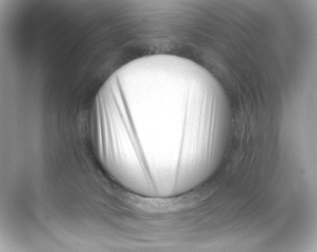 X0000069810034200606091846