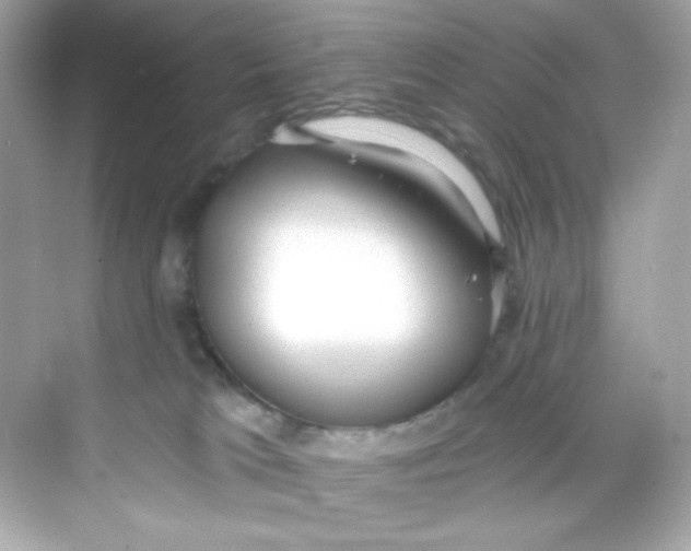 X0000069810037200606091846