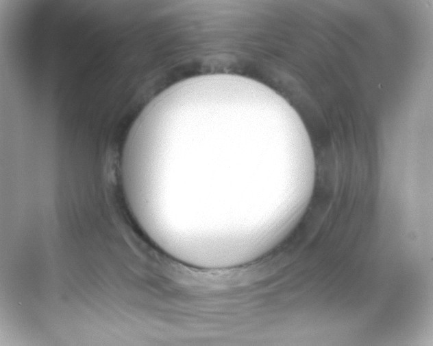 X0000069810038200606091846