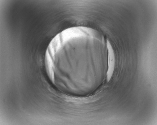 X0000069810039200606091846