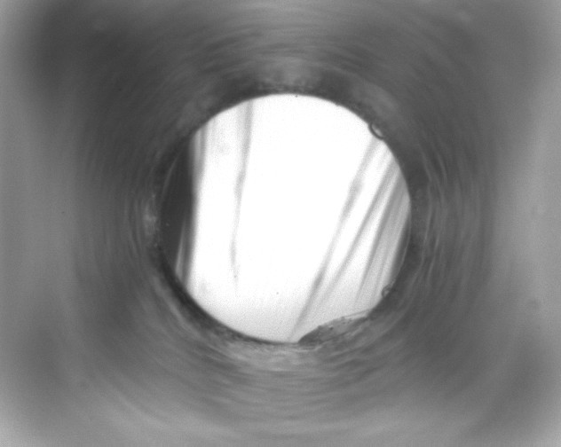 X0000069810040200606091846