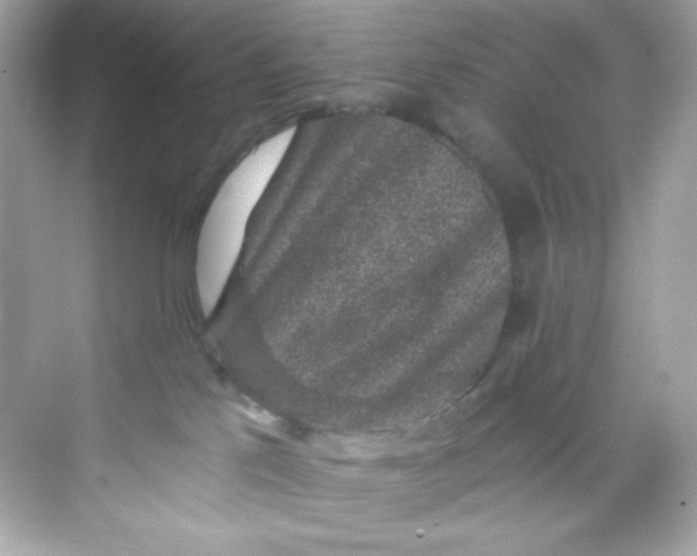 X0000069810041200606091846