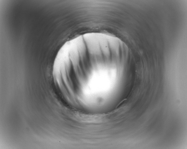 X0000069810044200606091846