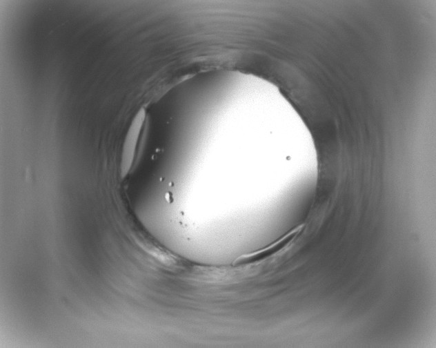 X0000069810045200606091846