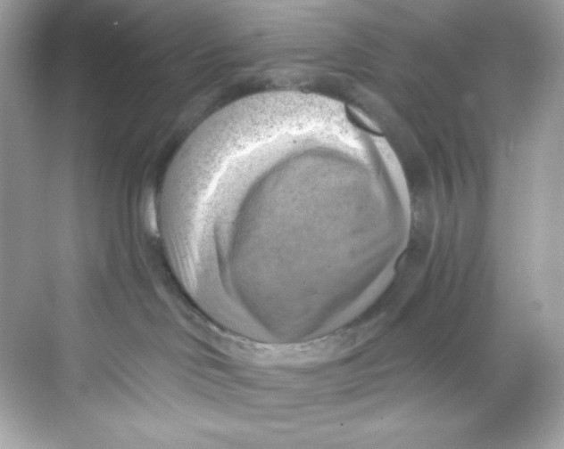 X0000069810046200606091846