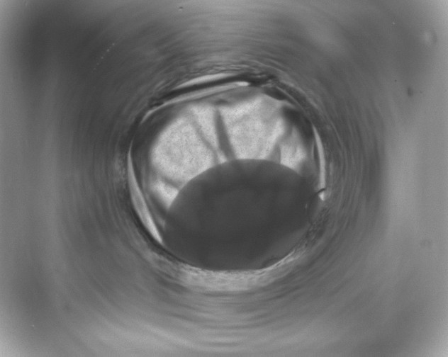 X0000069810048200606091846