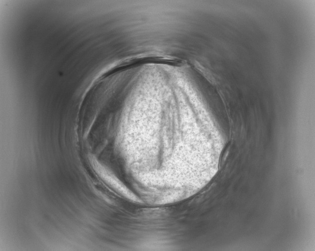 X0000069810050200606091845