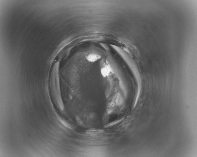 X0000069810051200606091845