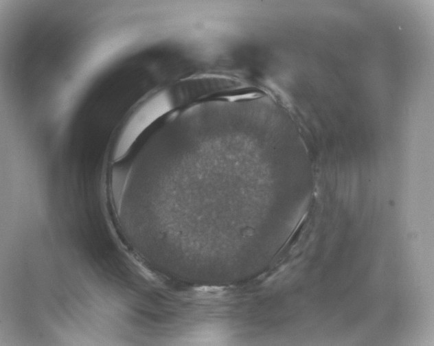 X0000069810052200606091845