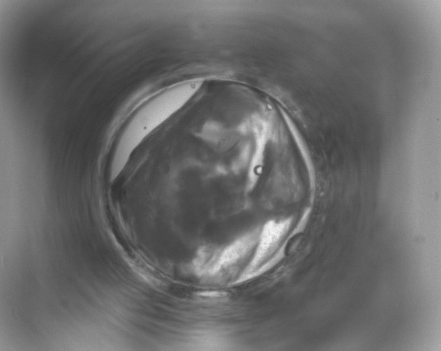 X0000069810053200606091845