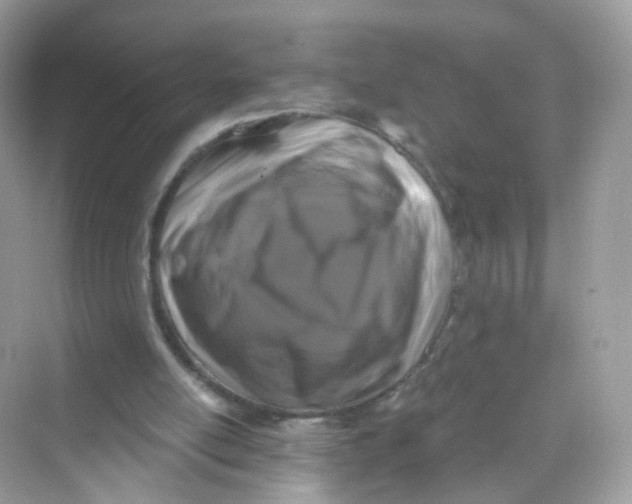 X0000069810054200606091845