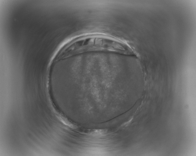 X0000069810056200606091845