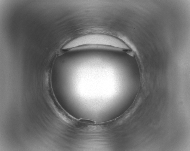 X0000069810057200606091845