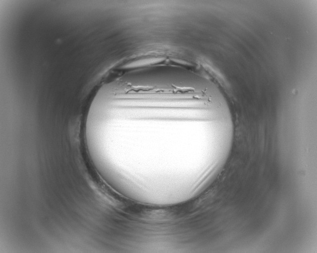 X0000069810058200606091845