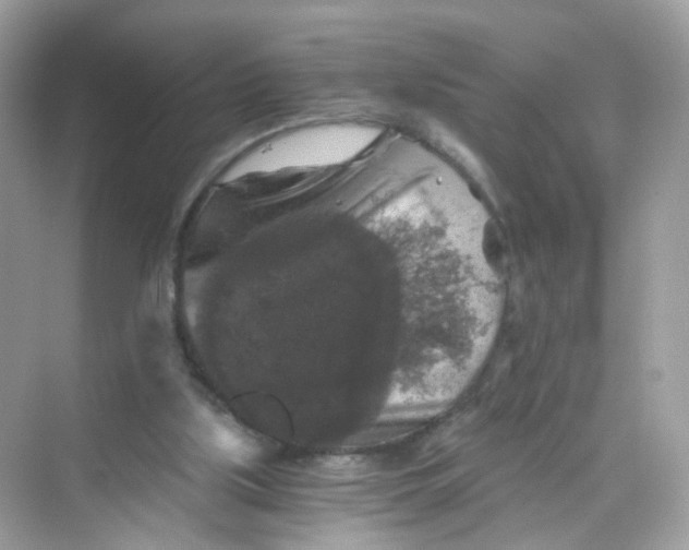 X0000069810059200606091845