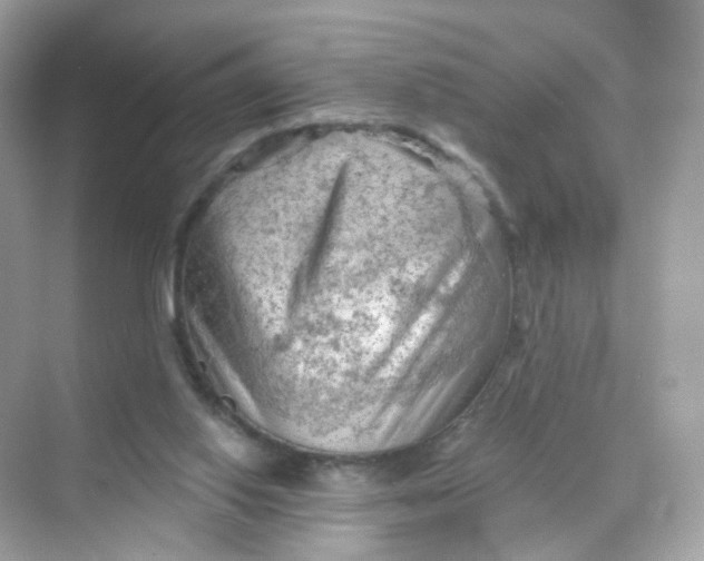 X0000069810062200606091845