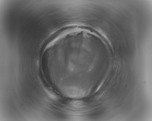 X0000069810063200606091845