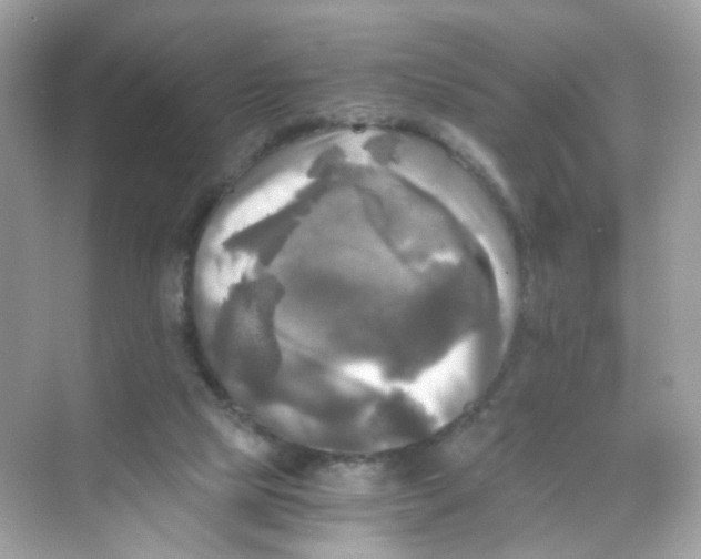 X0000069810065200606091845