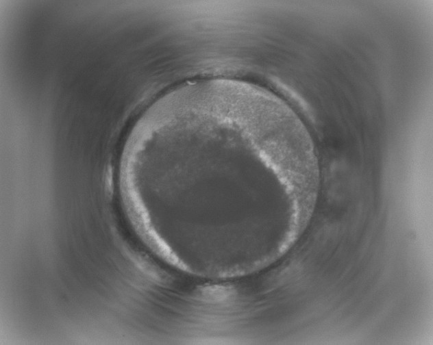 X0000069810067200606091845