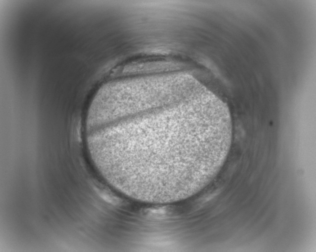 X0000069810068200606091846