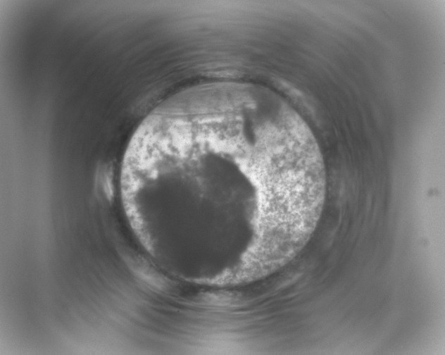 X0000069810069200606091846