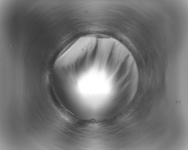 X0000069810071200606091846