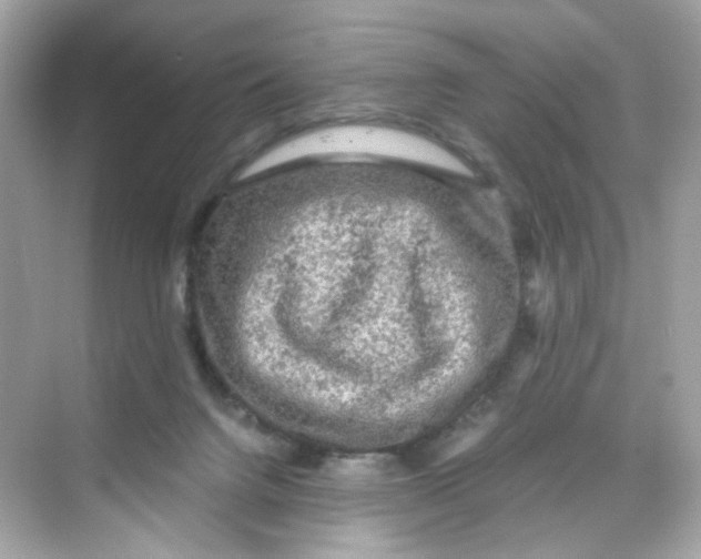 X0000069810072200606091846