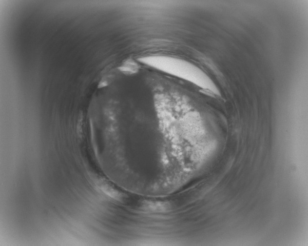 X0000069810073200606091846