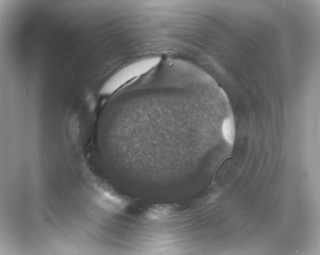 X0000069810076200606091846