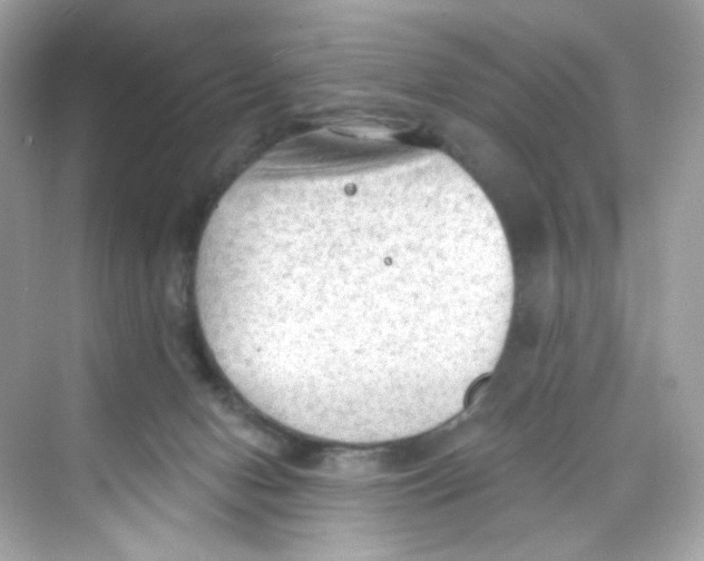 X0000069810078200606091846