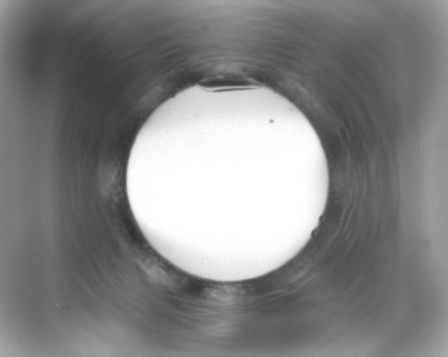 X0000069810079200606091846