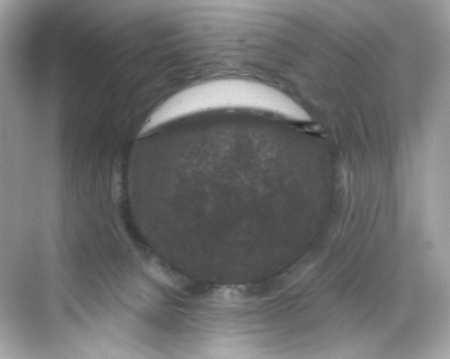 X0000069810080200606091846