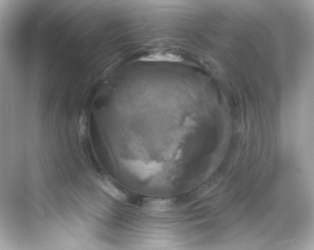 X0000069810081200606091846