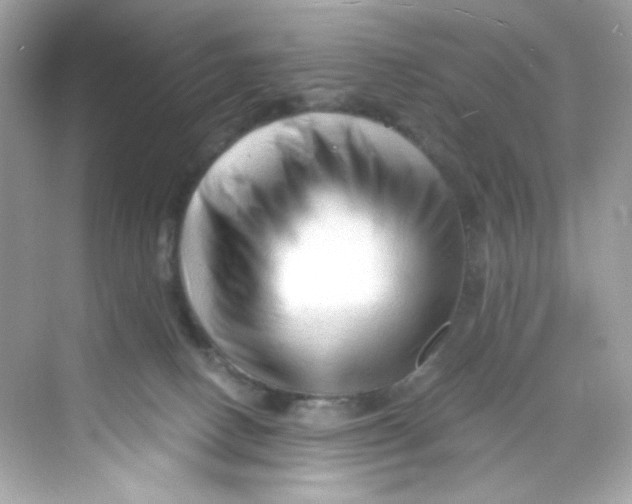 X0000069810082200606091846