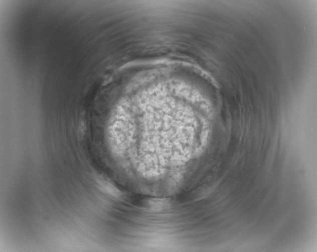 X0000069810085200606091846