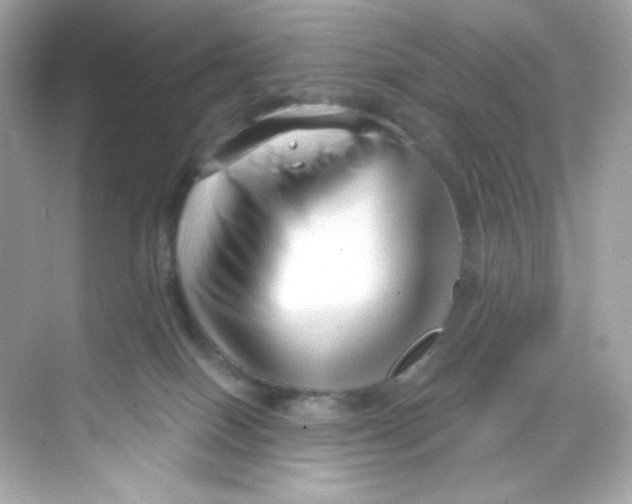 X0000069810086200606091846