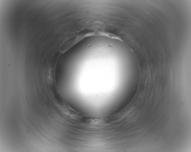 X0000069810088200606091846