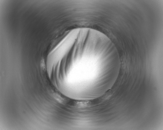 X0000069810089200606091846