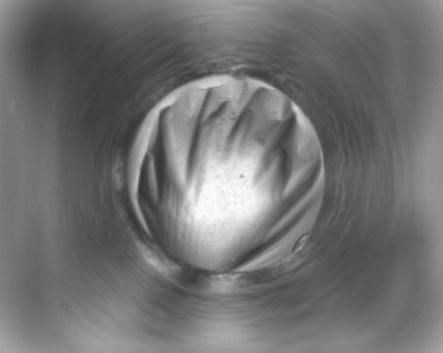 X0000069810090200606091846