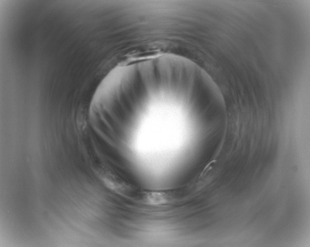 X0000069810091200606091846