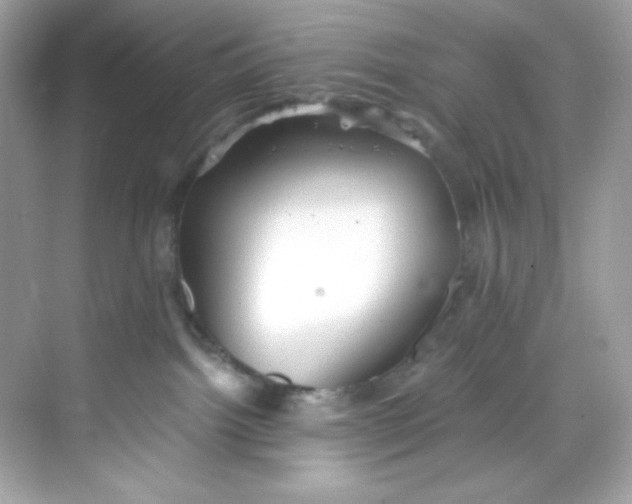 X0000069810092200606091846