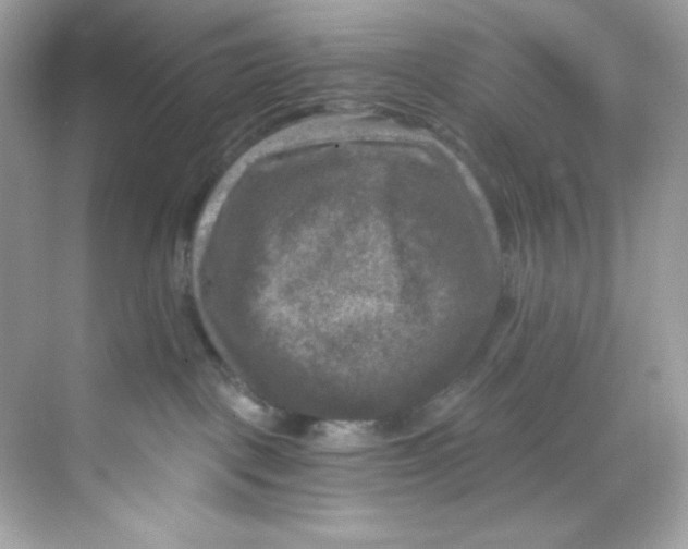 X0000069810093200606091846