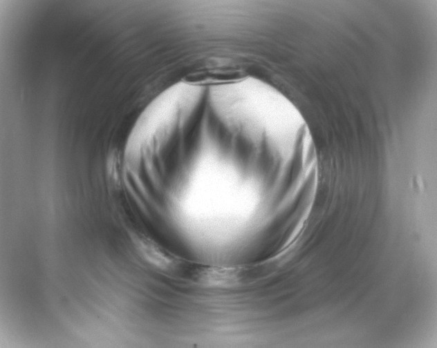 X0000069810094200606091846