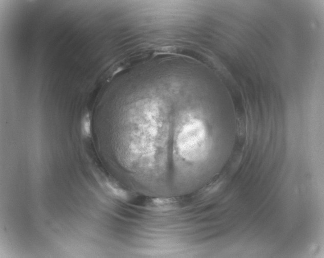 X0000069810095200606091846