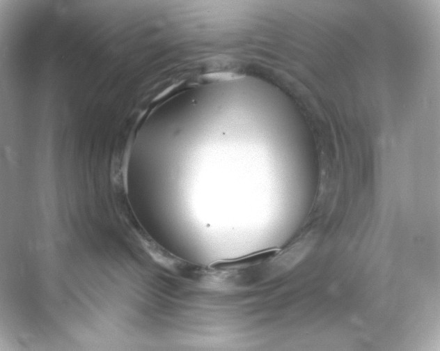 X0000069810096200606091846