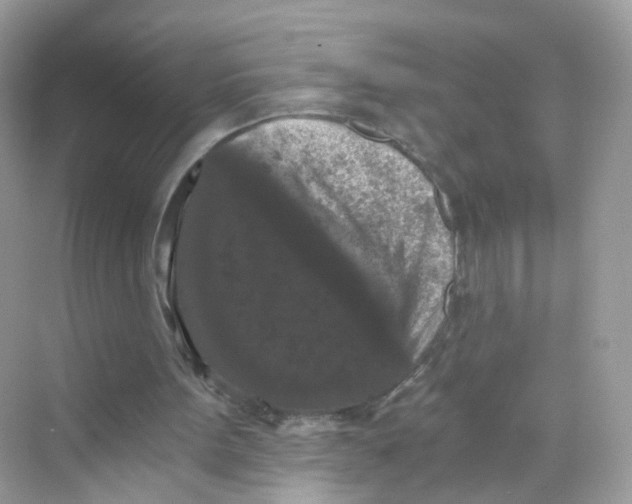 X0000069810099200606091845