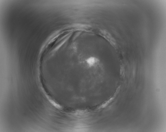 X0000069810101200606091845