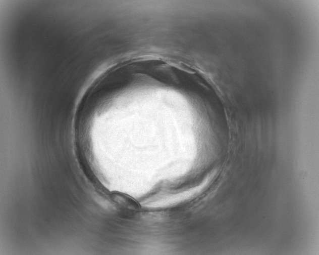 X0000069810102200606091845